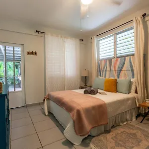 casa-pia-suave-2-jungle-seclusion-close-to-ocean.top-hotels-puertorico.com/